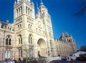 Natural History Museum