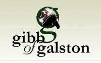 Gibb of Galston