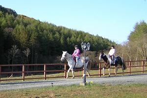 Glenmard Stables & Pony Trekking Centre