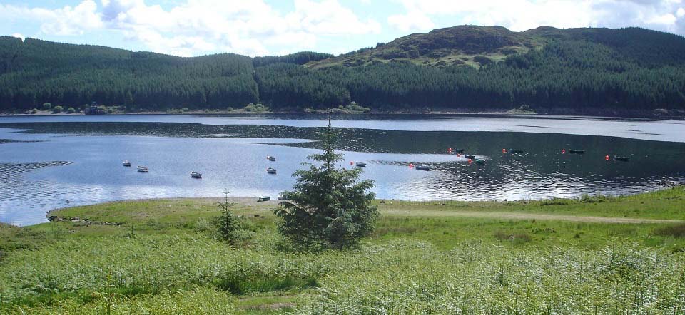 Loch Doon Fishing Club image