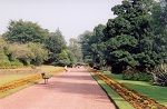 River Ayr Walk at Craigie image