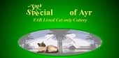 Specialcats of Ayr image