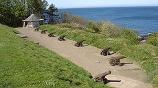 Culzean Guns