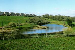 Annbank Fishery image