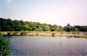 Coyle Water Fishery image