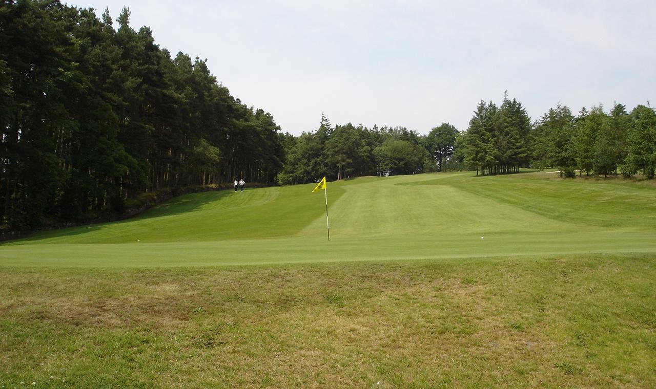 Ballochmyle 11th green