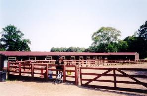 Dean Castle Riding Centre image