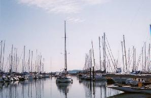 Largs Yacht Haven image