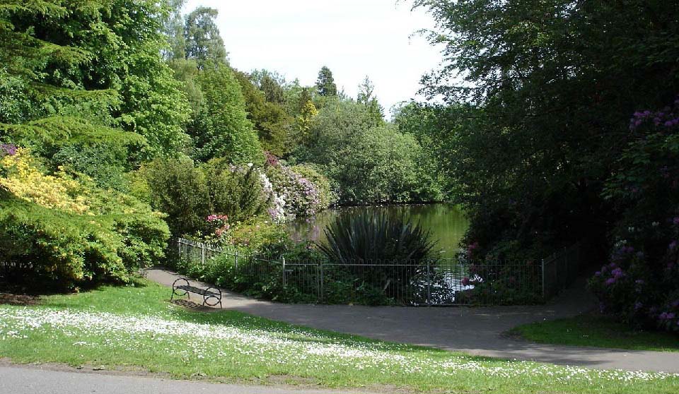 Rozelle Duck Ponds image