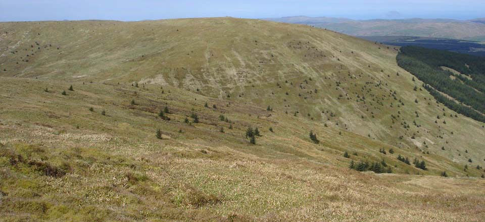 Cairn Hill by Barr image