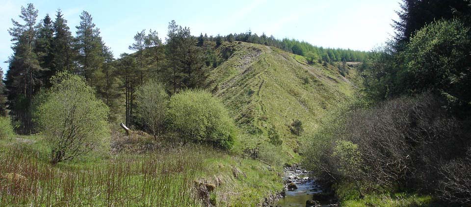 Fair Knowe on the Changue Trail image