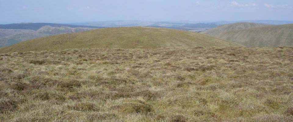 Changue Hill summit image