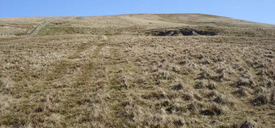 Blacklorg Hill looking up image