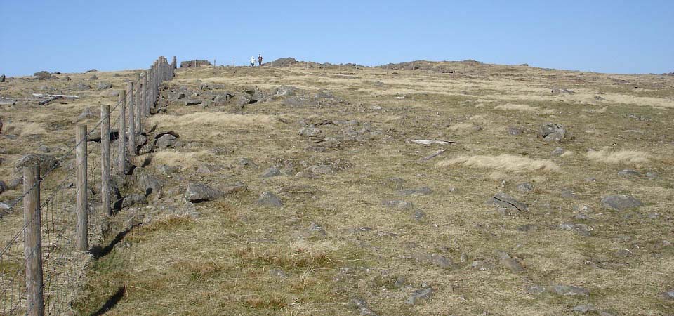 Blackcraig Hill close to the summit from the south side image