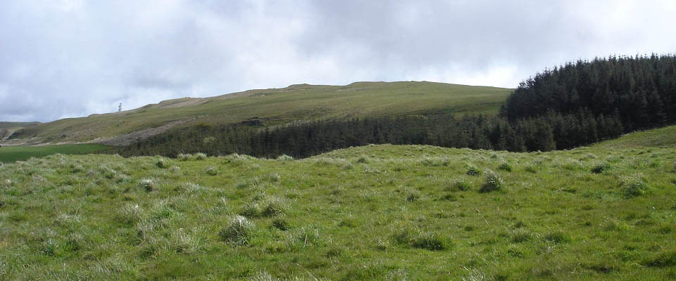 Brown Carrick Hill image