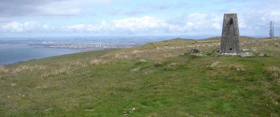 Brown Carrick Hill Trig Point image