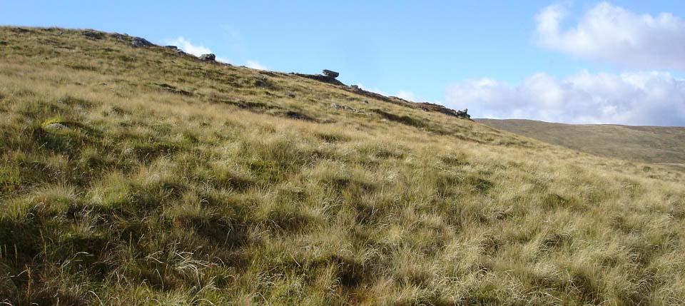 Cairnsgarroch Anvel Rock image