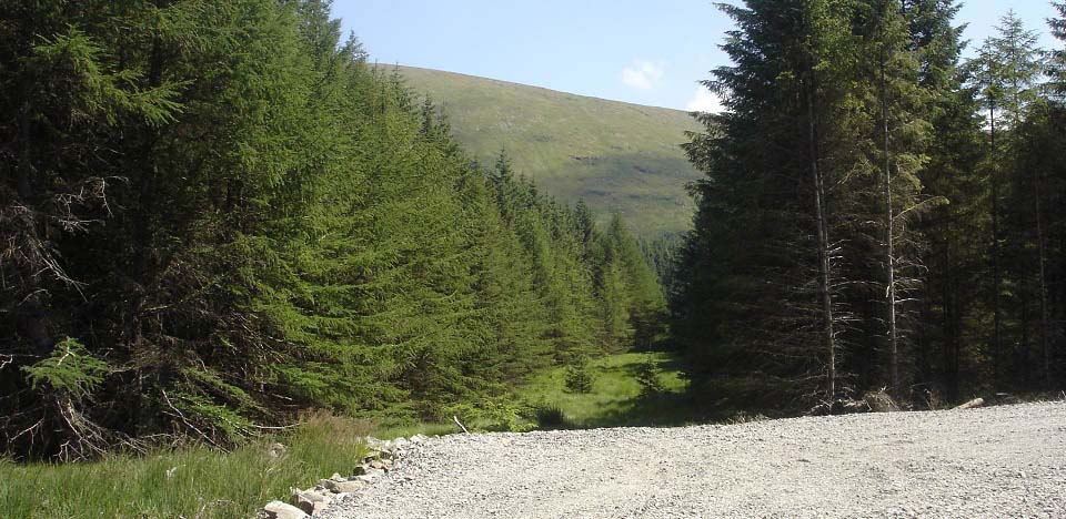 Carlins Cairn Forest Break image