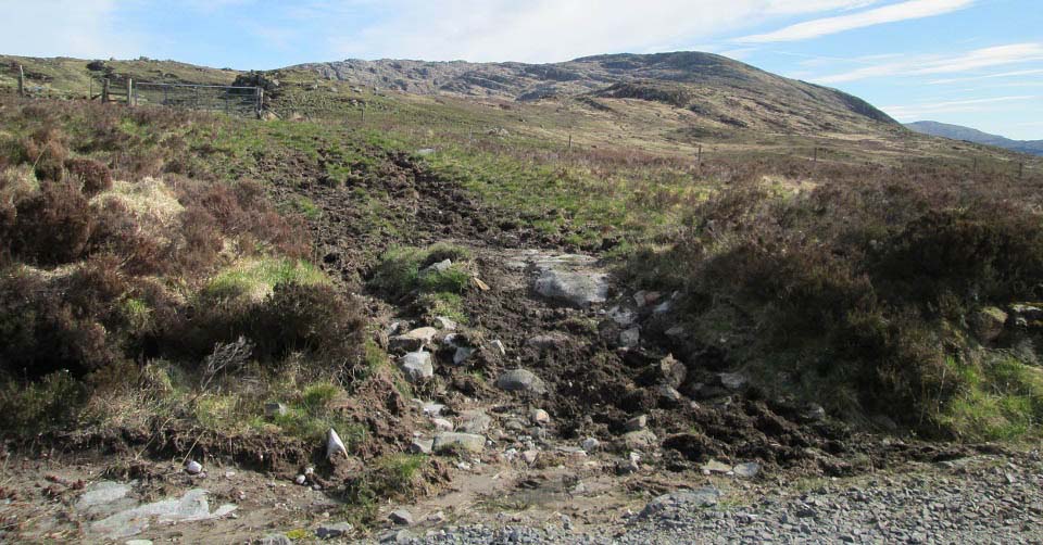 Craiglee at Loch Trool south side image