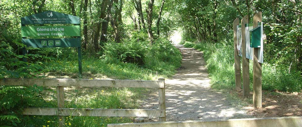 Glenashdale Falls path image