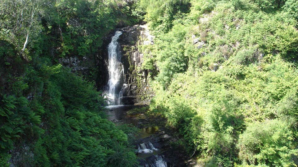 Glenashdale Falls image