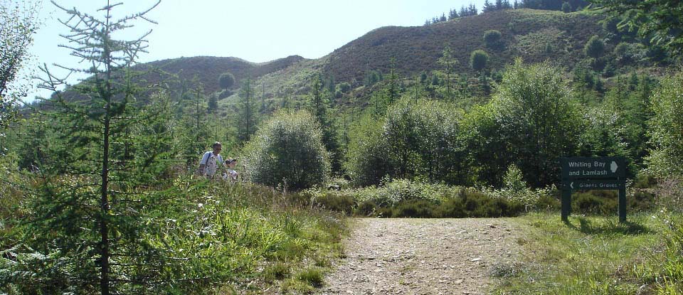 Giants Grave Trail image