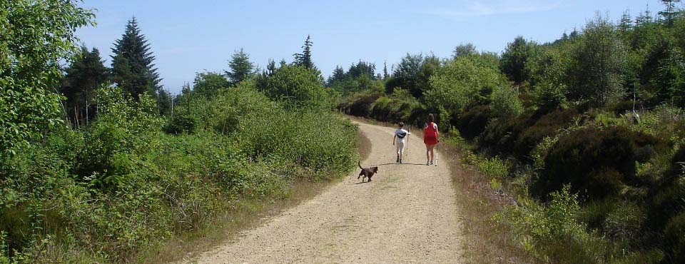 Giants Grave Trail image