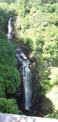 Glenashdale Falls image