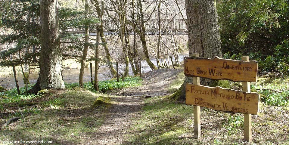 Ness Glen bottom end image