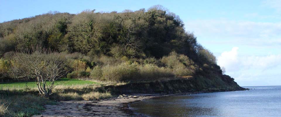 Heads of Ayr North Side image