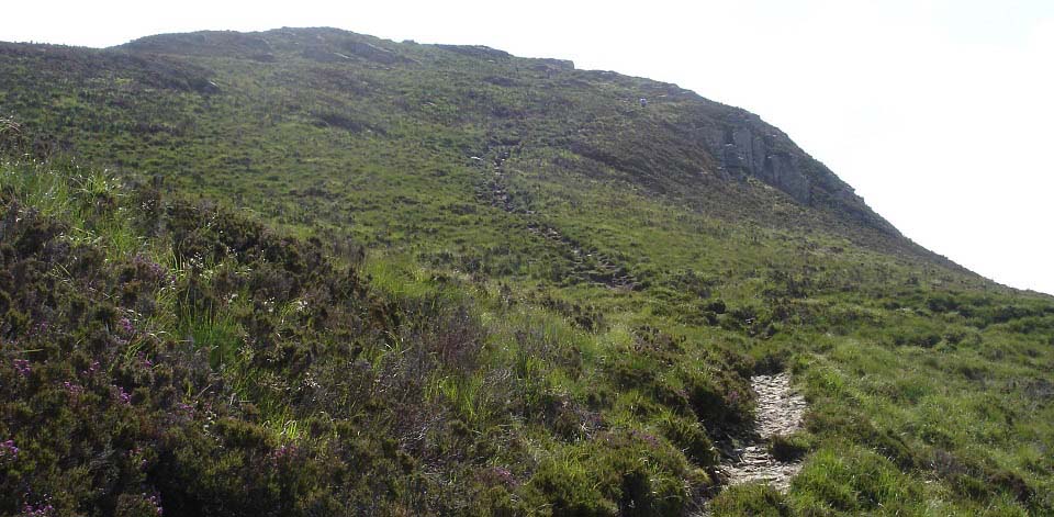 Mullach Beag on the Holy Isle image