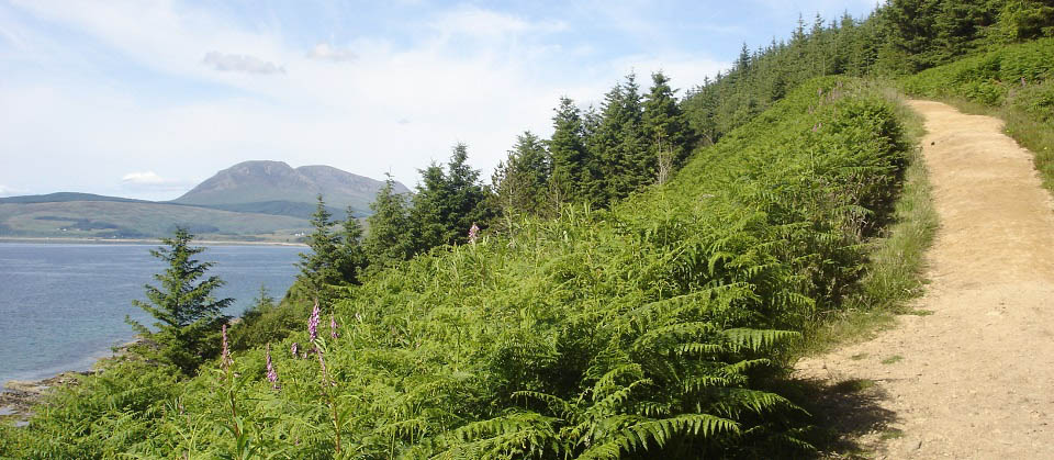 Kings Cave north path image