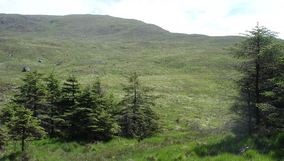 Kirriereoch west ridge image