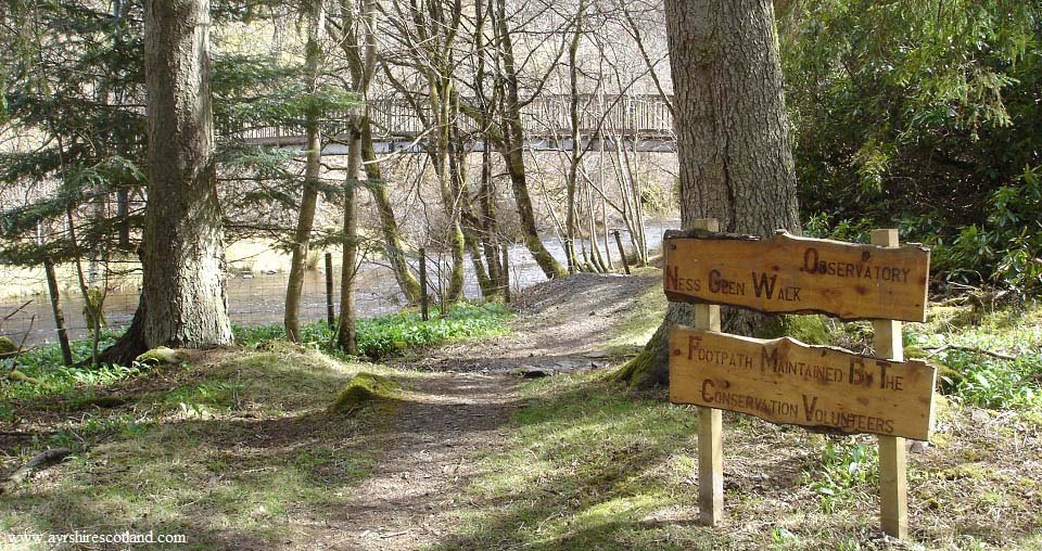 Ness Glen lower side image