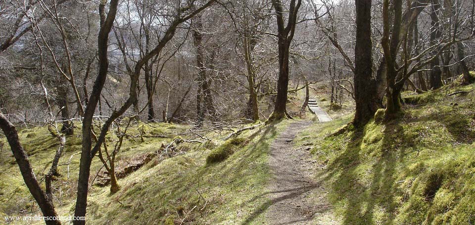 Ness Glen high path image