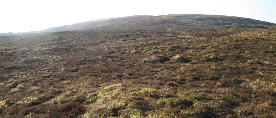 Cairnadloch Hill view to Caerloch Dhu image