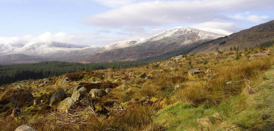 Rocky Hillside image