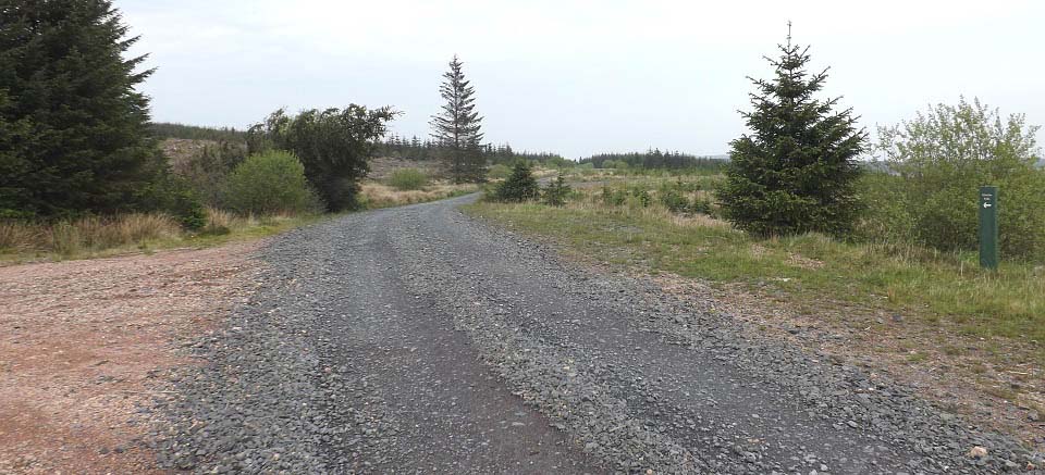 Stinchar Falls Forest Road image