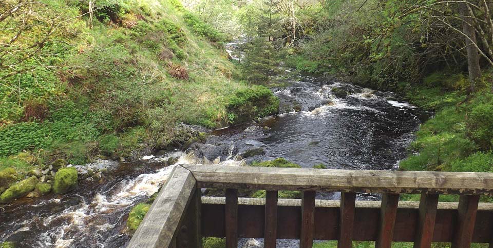 River Stinchar from the Stinchar Falls image